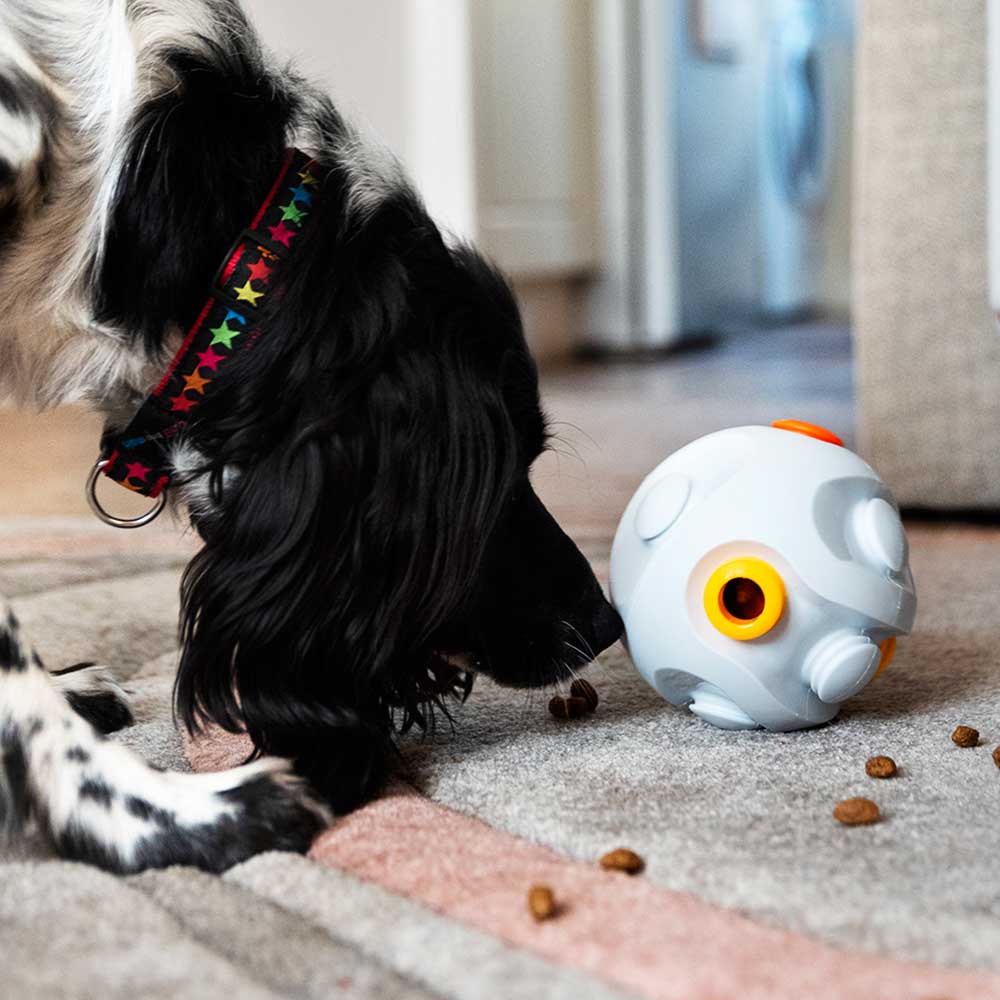 Kibble Connector - Dog Food Dispenser