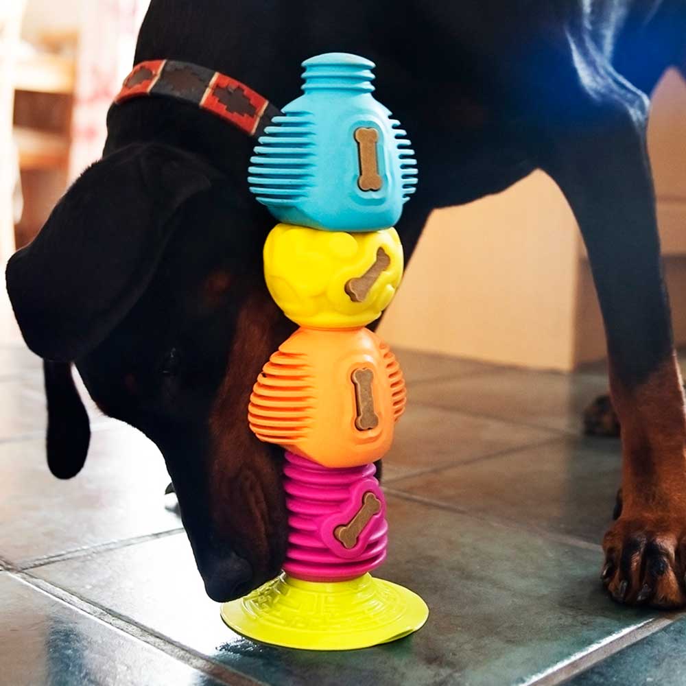 Dog 2024 pyramid toy