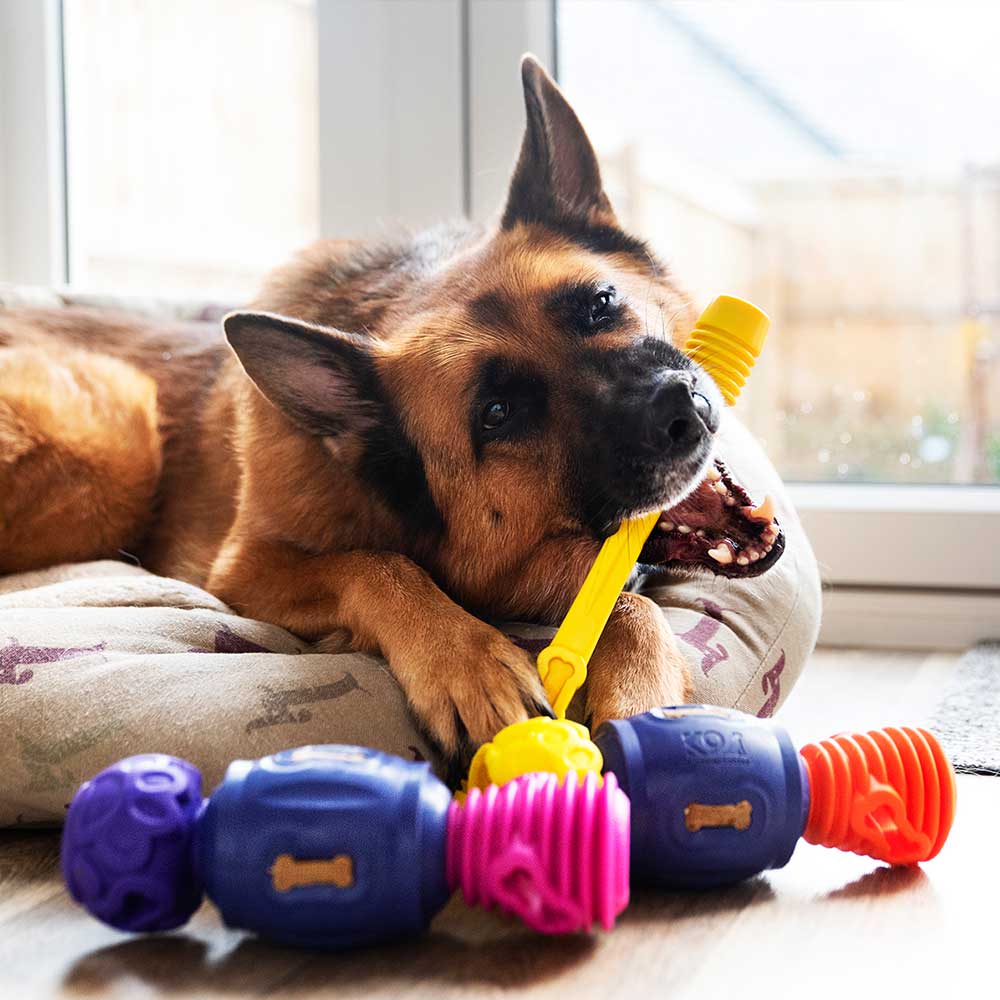 Yes Bone - Pro Dog Toys