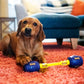 Yes Bone - Pro Dog Toys