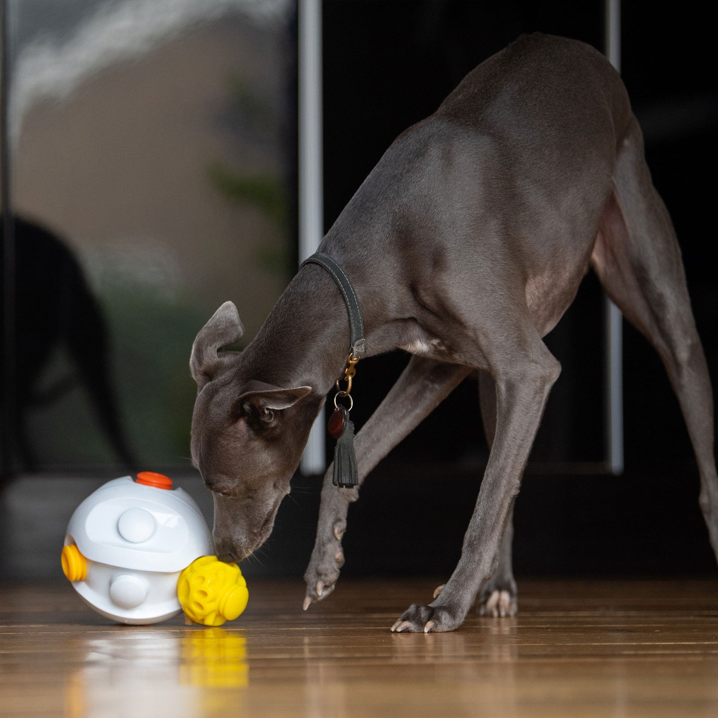 Kibble Connector - Dog Food Dispenser